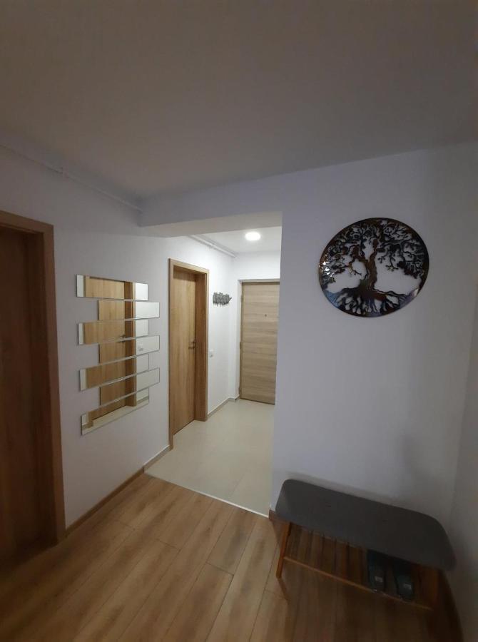 Sorin'S Comfortable Apartment ブラショフ エクステリア 写真